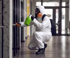 Best Emergency Mold Remediation  in USA